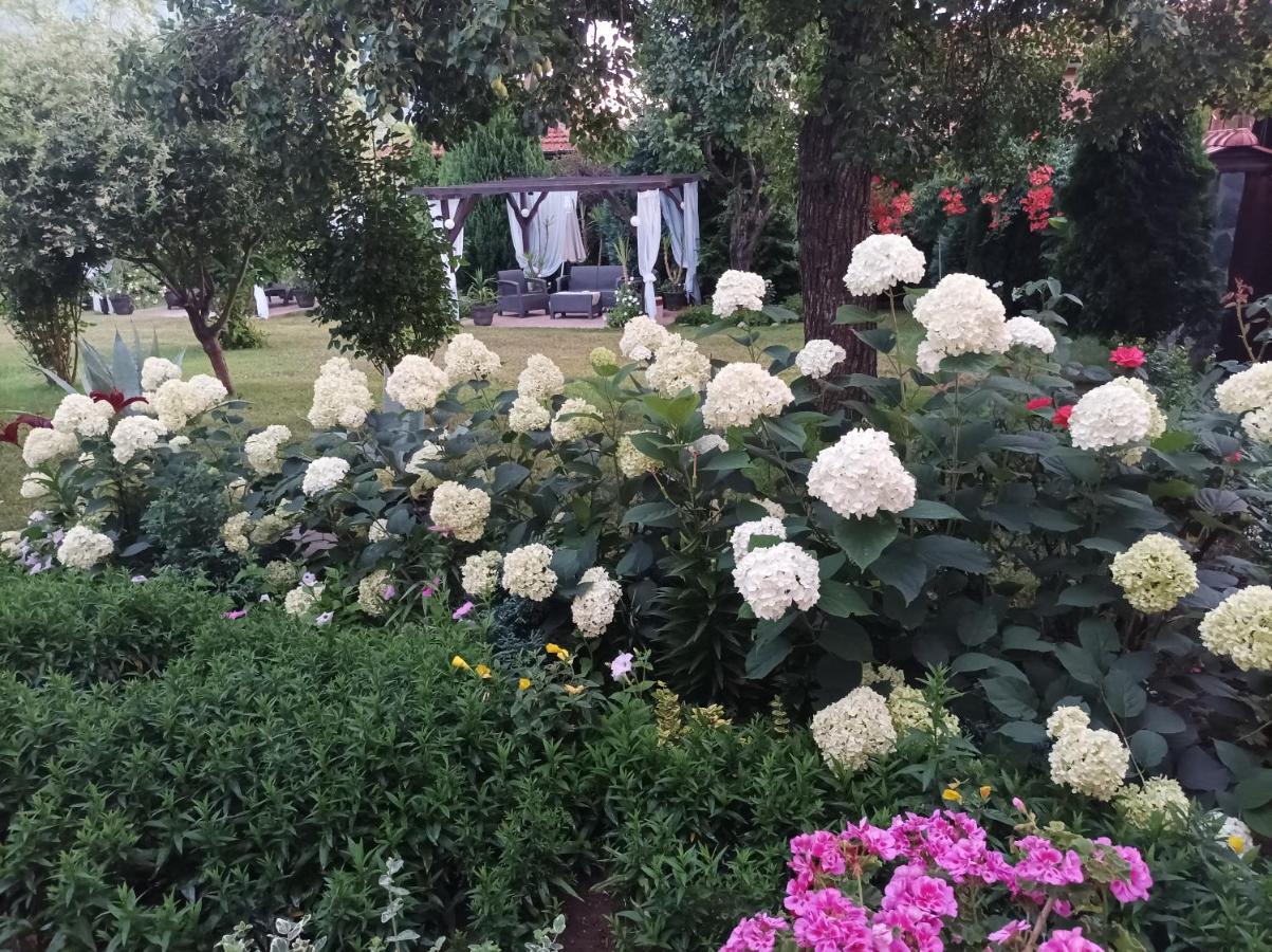 Guesthouse Dida Sapareva Banya Exterior photo